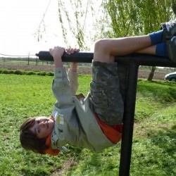 Koala 183 - Scouts en Gidsen Zaventem 